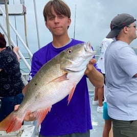 Mutton Snapper Fishing in Fort Lauderdale, Florida