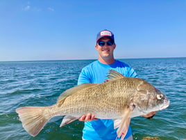 Black Drum Fishing in South Padre Island, Texas