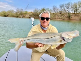 Snook Fishing in South Padre Island, Texas