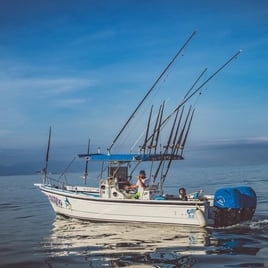 4 hrs fishing trips in the bay