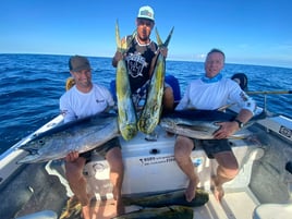 Mahi Mahi, Yellowfin Tuna Fishing in Puerto Vallarta, Mexico