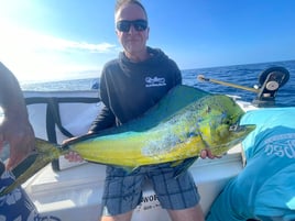 Mahi Mahi Fishing in Puerto Vallarta, Mexico