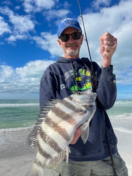 Sheepshead Fishing in Sarasota, Florida