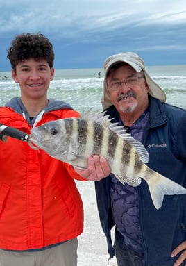 Sheepshead Fishing in Sarasota, Florida