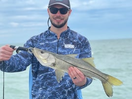 Snook Fishing in Sarasota, Florida