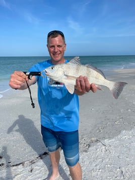 Surf Fishing From the Beach Family and Beginner-Friendly