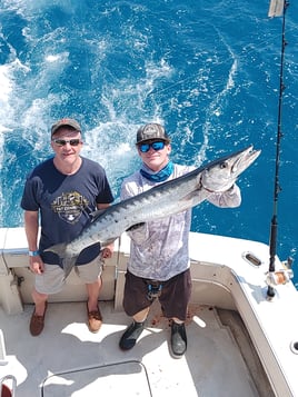 Barracuda Fishing in Key West, Florida