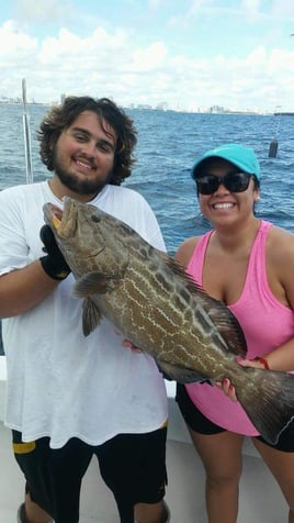 Black Grouper Fishing in Key West, Florida