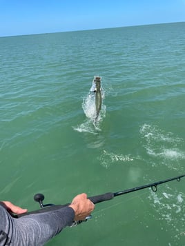 Tarpon Fishing in Saint James City, Florida