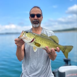 Largemouth Bass Fishing in Lago Vista, Texas