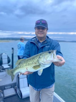 Largemouth Bass Fishing in Lago Vista, Texas