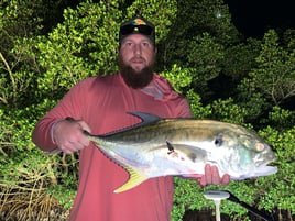 Jack Crevalle Fishing in Tampa, Florida