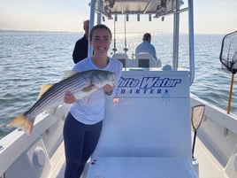 Striped Bass Fishing in Hampton Bays, New York