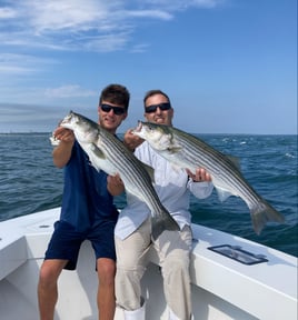 Striped Bass Fishing in Hampton Bays, New York