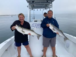 Striped Bass Fishing in Hampton Bays, New York