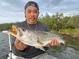 Speckled Trout Fishing in Edgewater, Florida