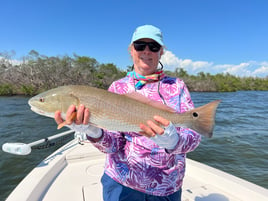 Redfish Fishing in Fort Myers Beach, Florida