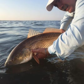 Redfish Fishing in Corpus Christi, Texas