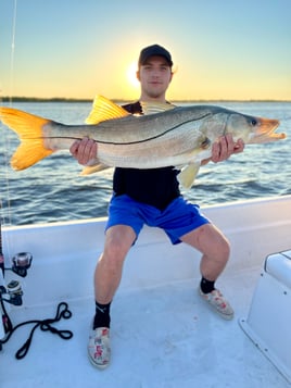 Snook Fishing in Daytona Beach, Florida