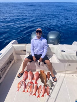 Triggerfish, Vermillion Snapper Fishing in St. Augustine, Florida