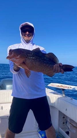 Red Grouper Fishing in St. Augustine, Florida