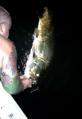 Tarpon Fishing in Daytona Beach, Florida