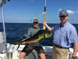 Mahi Mahi Fishing in Galveston, Texas