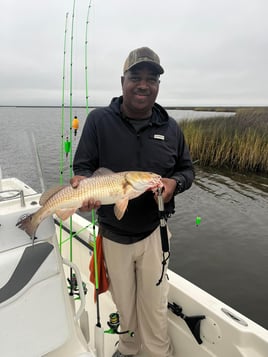 Redfish Fishing in Saint Bernard, Louisiana