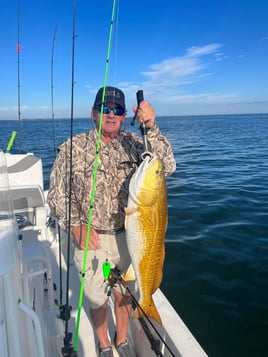 Redfish Fishing in Saint Bernard, Louisiana