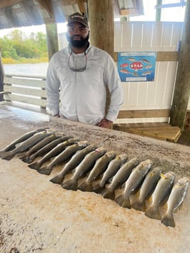 Speckled Trout Fishing in Saint Bernard, Louisiana