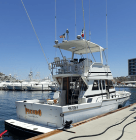 Cabo Trophy Fishing