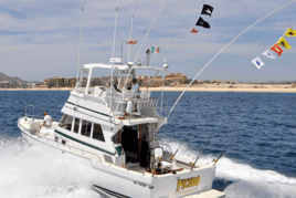 Cabo Trophy Fishing