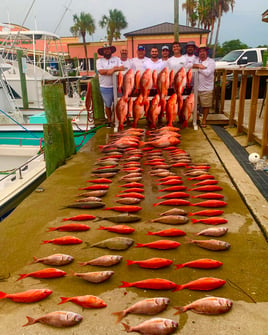 PCB Premier Deep Sea Fishing