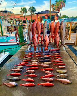 PCB Premier Deep Sea Fishing