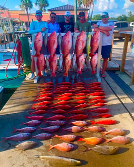 PCB Premier Deep Sea Fishing