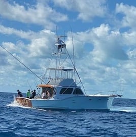 Am walleye charter