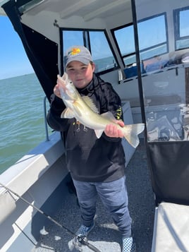 Am walleye charter