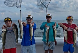 Am walleye charter