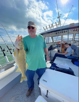 Am walleye charter