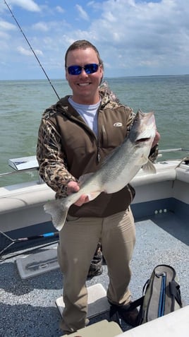 Am walleye charter