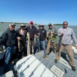 Am walleye charter