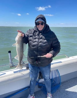 Am walleye charter