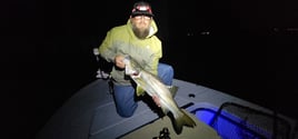 Snook Fishing in Vero Beach, Florida