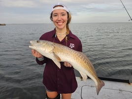 Redfish Fishing in Aransas Pass, Texas