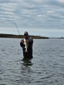 Wade fishing