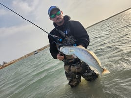 Speckled Trout Fishing in Aransas Pass, Texas