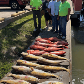 Halfday AM 33 Ft Contender: Texas Deep Sea Fishing Charter