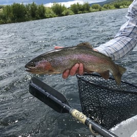 Madison River Float Fishing