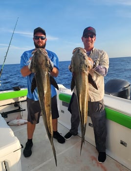 6hr offshore fishing