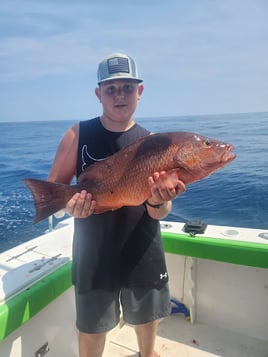 6hr offshore fishing